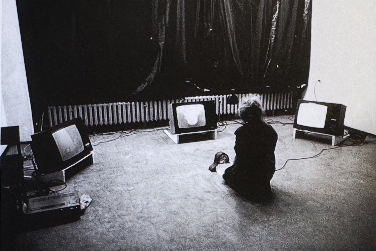 Distorted Image. Chapters from the beginnings of video art